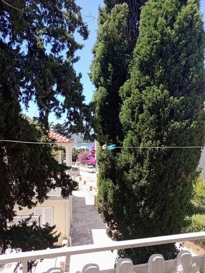 ביוגראד נה מורו Apartment Brcic מראה חיצוני תמונה